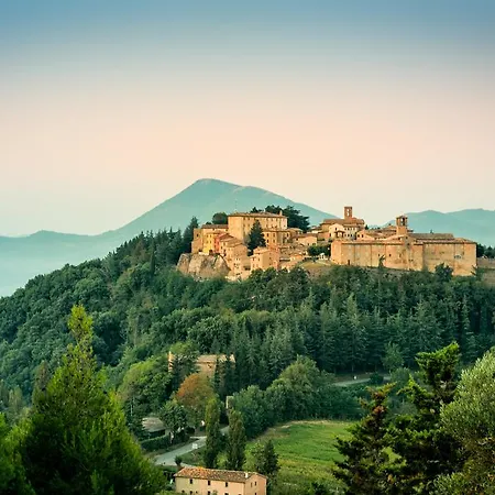 The Montone